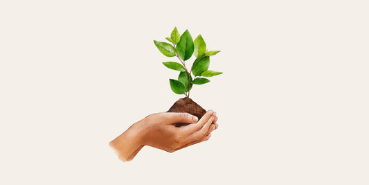 How Does Organic Farming Protect the Environment?