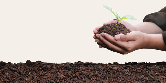 The Impact of Organic Farming On the Environment